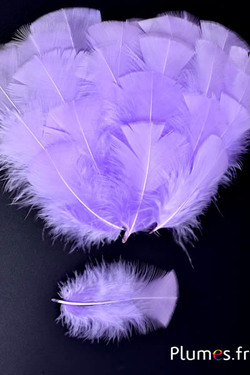 Dinde - 6-8 cm - lilas